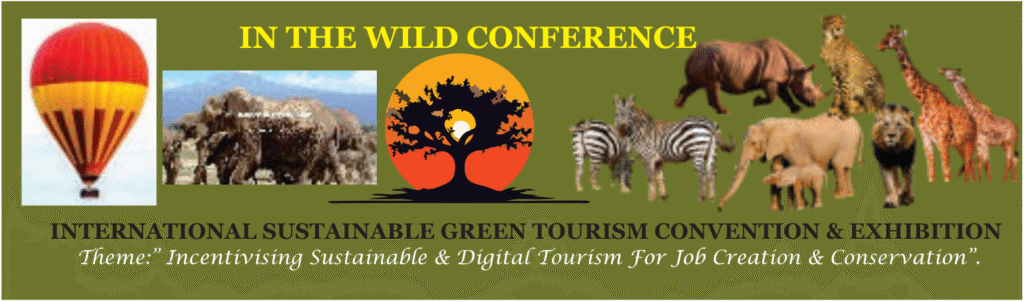 IN THE WILD LOGO n'nuel